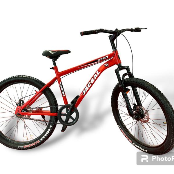 WhatsApp Image 2024-11-27 at 4.29.13 PM